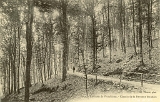 Environs de Plombières. - Chemin de la Fontaine Stanislas